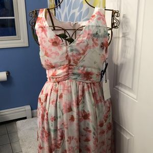 NWT! Beautiful floral spring dress! 🌸